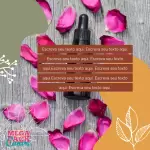 Pacote de 10 Propagandas Editáveis no Canva para Aromaterapia