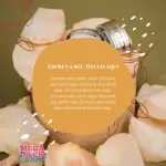 Pacote de 10 Propagandas Editáveis no Canva para Aromaterapia