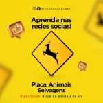 Pack de auto escola com 30 mídias editáveis no canva