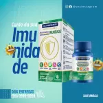 Pack para farmácia com 251 artes editáveis no canva