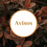 Conjunto de 70 Capas para Destaques