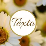 Conjunto de 70 Capas para Destaques