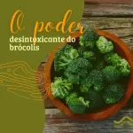 Pack para nutricionista com 170 artes editáveis no canva