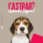 Pacote de 55 Artes Editáveis no Canva para Pet Shop