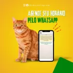 Pacote de 55 Artes Editáveis no Canva para Pet Shop
