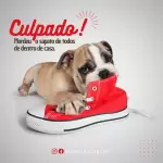 Pacote de 55 Artes Editáveis no Canva para Pet Shop