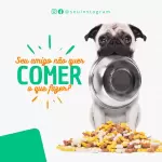 Pacote de 55 Artes Editáveis no Canva para Pet Shop