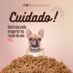 Pacote de 55 Artes Editáveis no Canva para Pet Shop