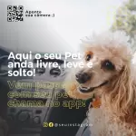 Pacote de 28 Artes Editáveis no Canva para Anúncios de Serviços de Uber e Táxi