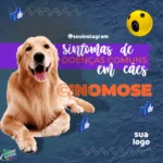 Conjunto de 100 Artes Editáveis no Canva para Consultório Veterinário