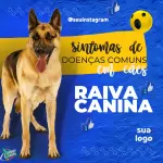 Conjunto de 100 Artes Editáveis no Canva para Consultório Veterinário