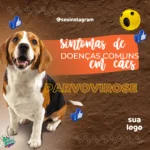 Conjunto de 100 Artes Editáveis no Canva para Consultório Veterinário